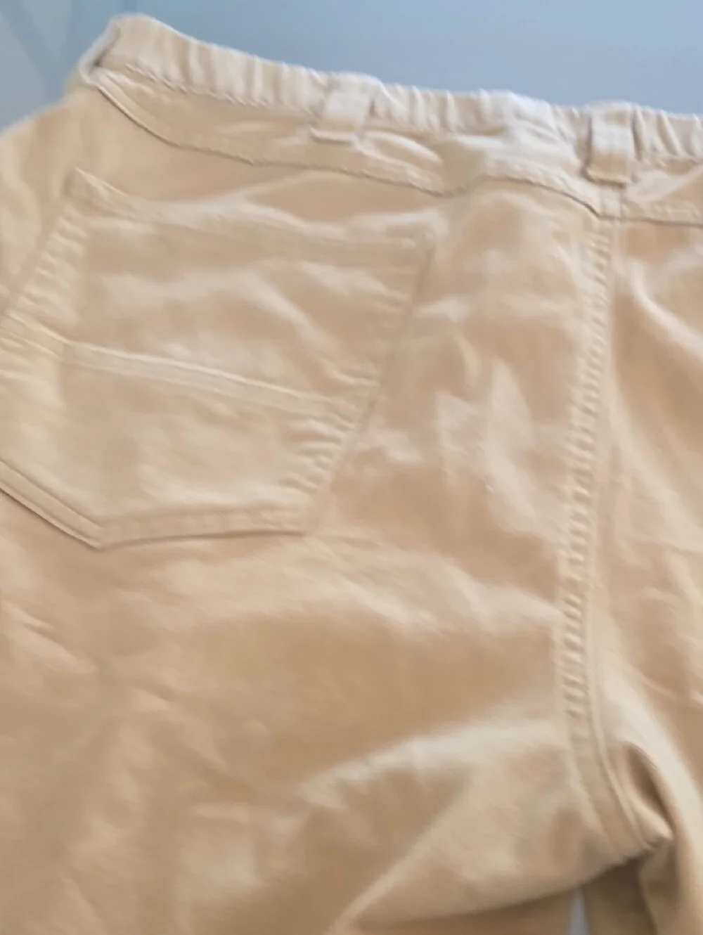 Carhartt Tan Workwear Pocket Pants
